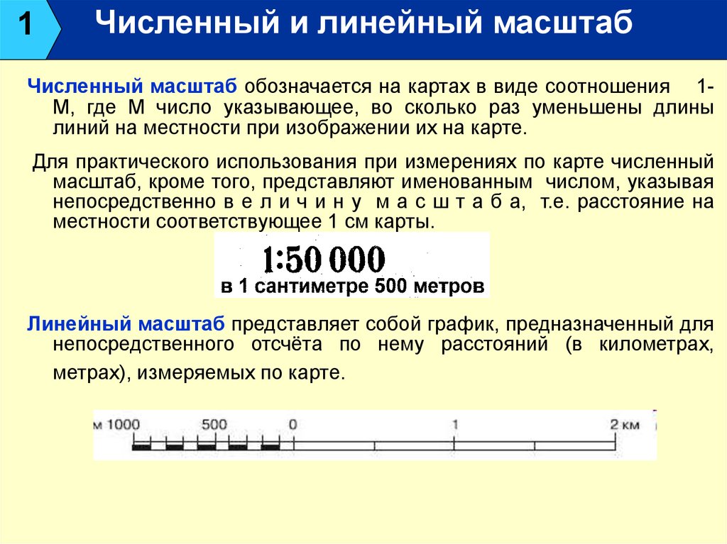 Различного масштаба. Численный линейный и именованный масштаб карты. Что такое линейный масштаб в географии 5 класс. Численный масштаб именованный масштаб линейный масштаб. Численный и линейный масштабы карт.