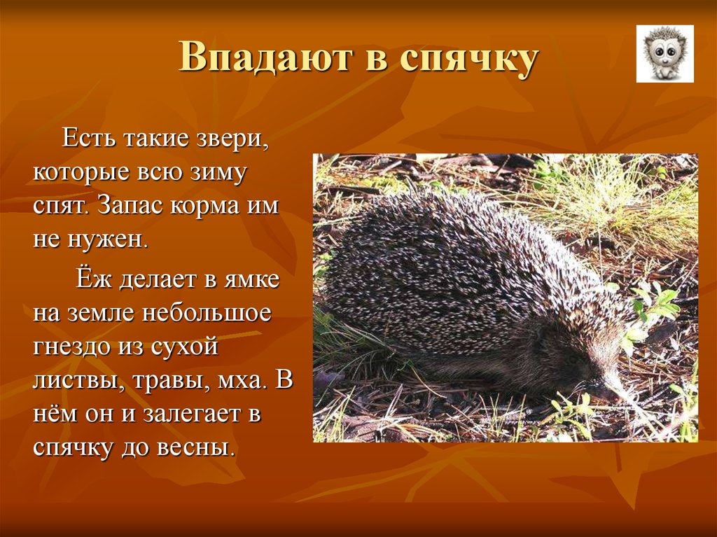 Запасают корм на зиму