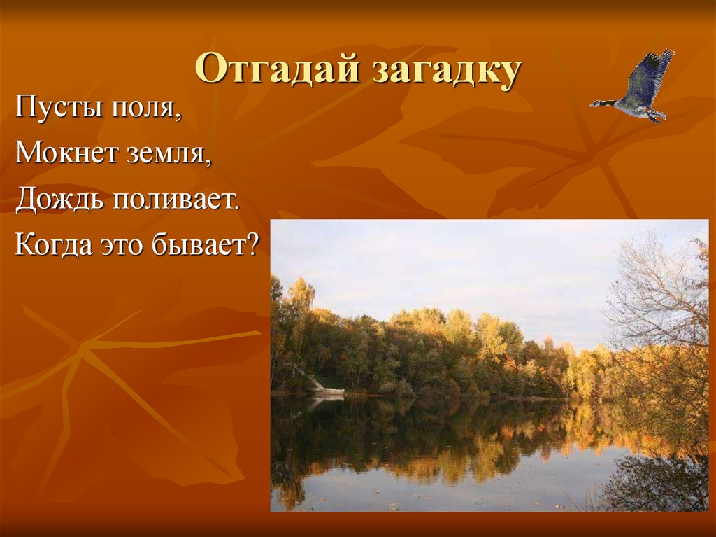 Какие красивые рисунки нарисовали детки!