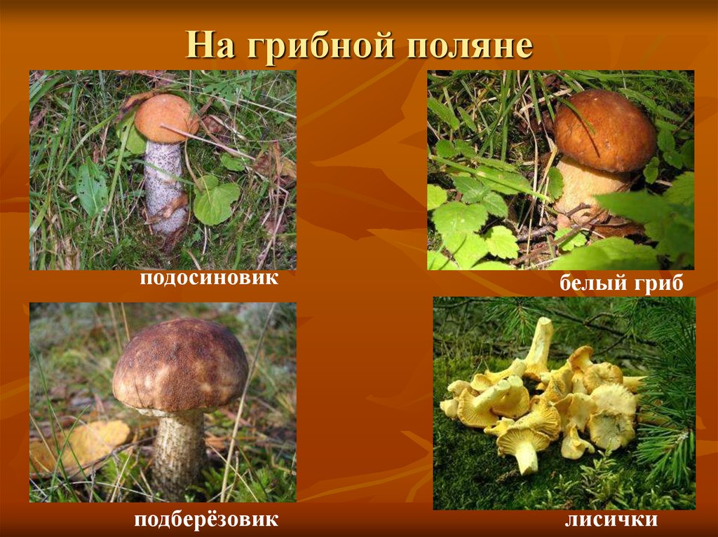 Узнай дары осени