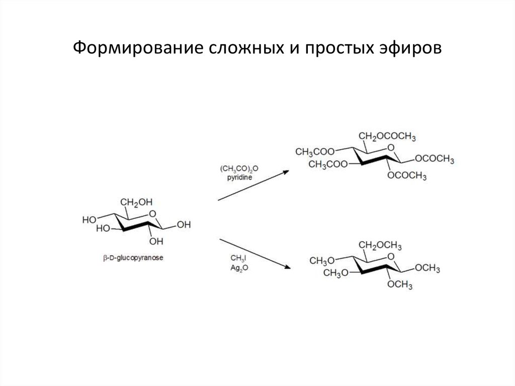 Развитие сложного