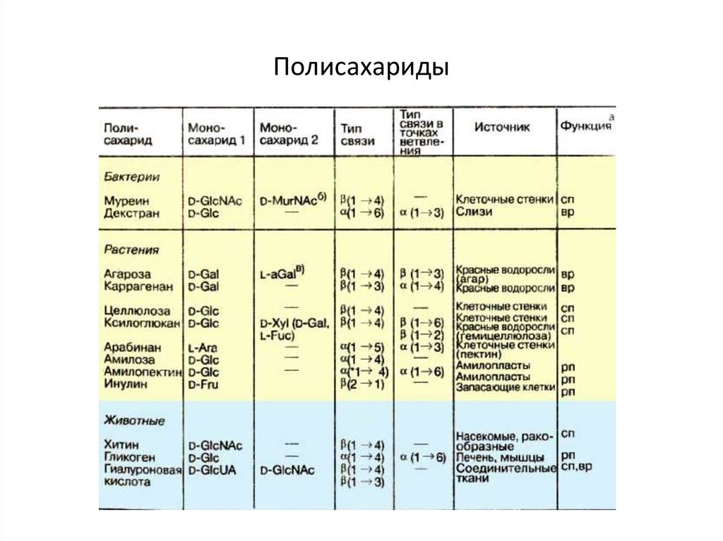 Полисахариды