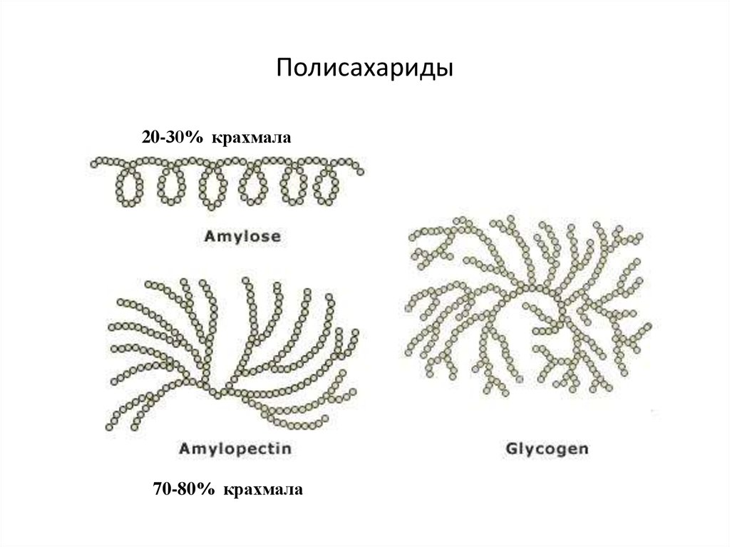 Схема строения крахмала