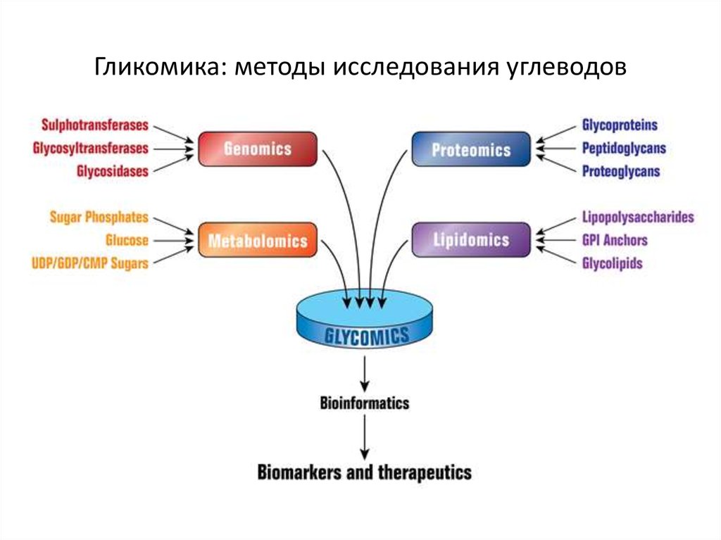 Функции ди. Методы исследования углеводов. Методы исследования обмена углеводов. Методы исследования показателей углеводного обмена. Методы, которые можно использовать для изучения углеводного обмена.