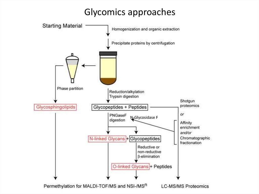 Glycomics approaches
