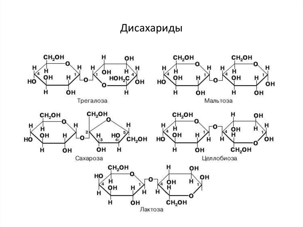 Дисахариды и полисахариды 10 класс химия презентация