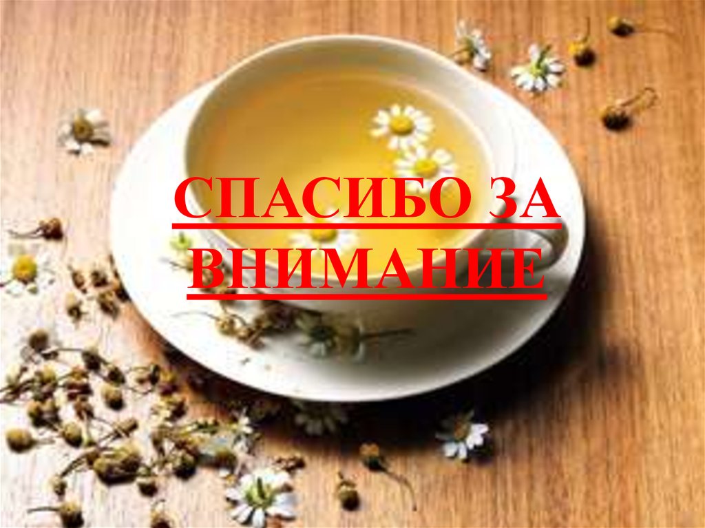 Наши рекомендации