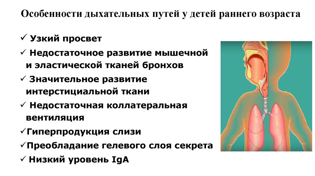 Анатомо физиологические особенности органов дыхания у детей презентация