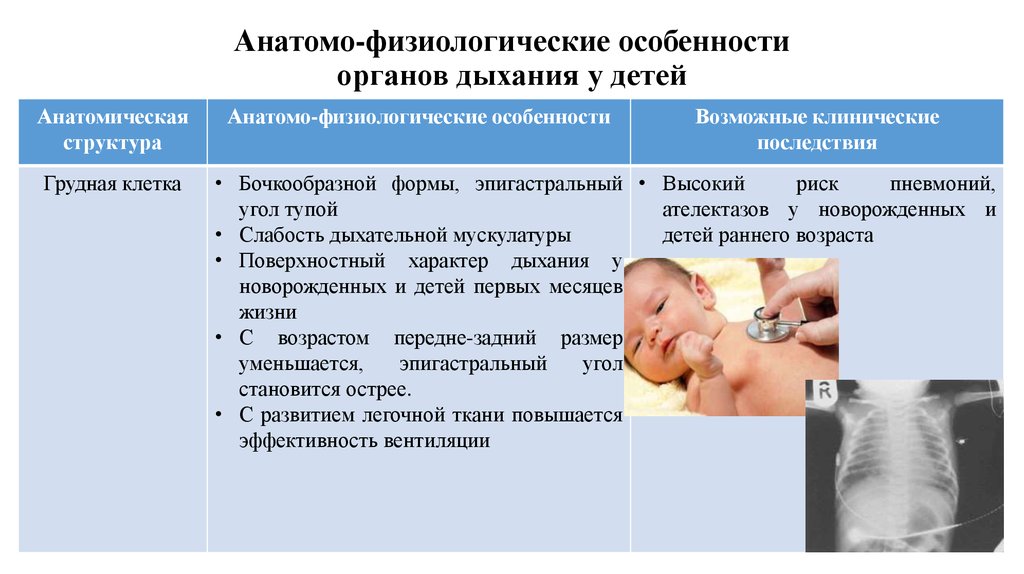 Анатомо физиологического развития. Афо дыхания недоношенных детей. Афо дыхательной системы новорожденного. . Афо системы дыхания у грудного ребенка. Анатомо-физиологические особенности дыхательной системы у детей.