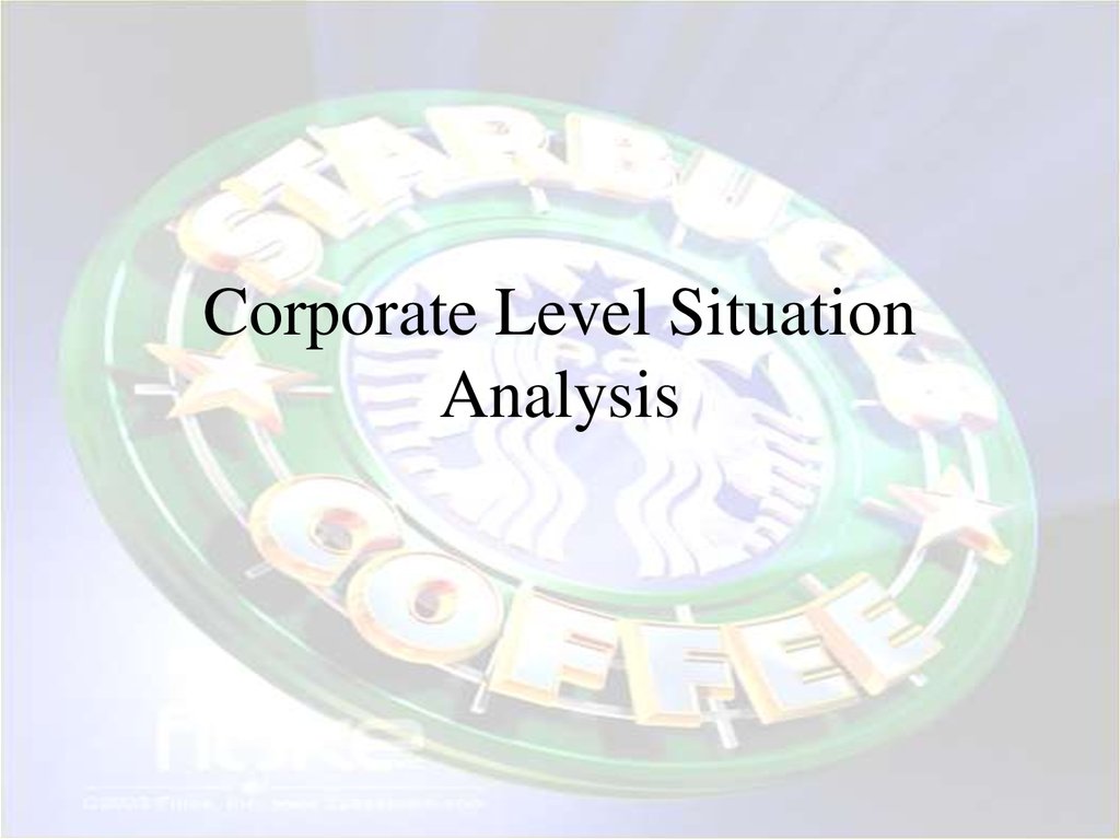 Corporate Level Situation Analysis