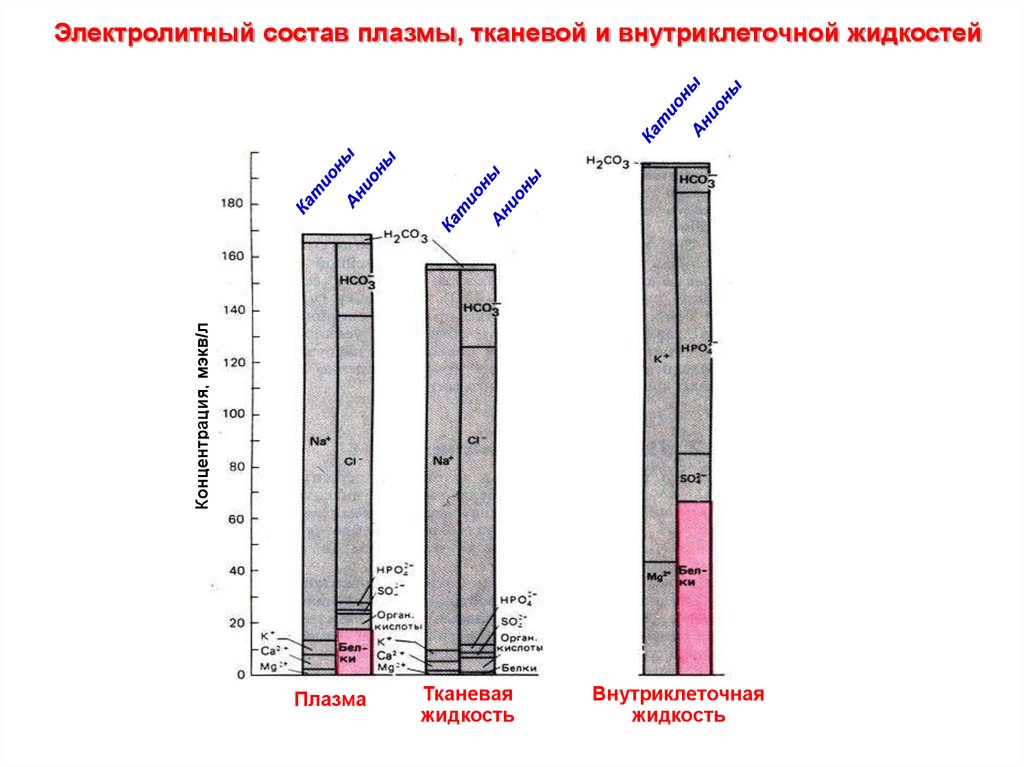 Плазма тканевая жидкость