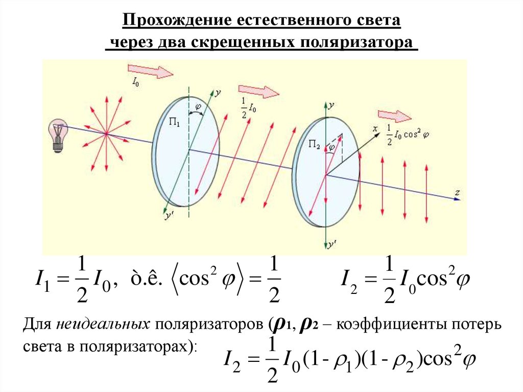 Естественно прошедший. Эллиптически поляризованный свет через поляризатор. Прохождение света через два поляризатора. Прохождение света через поляризатор. Естественный свет проходит через два поляризатора.