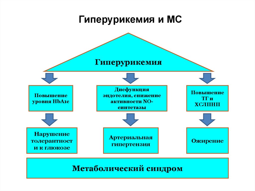 Гиперурикемия симптомы лечение