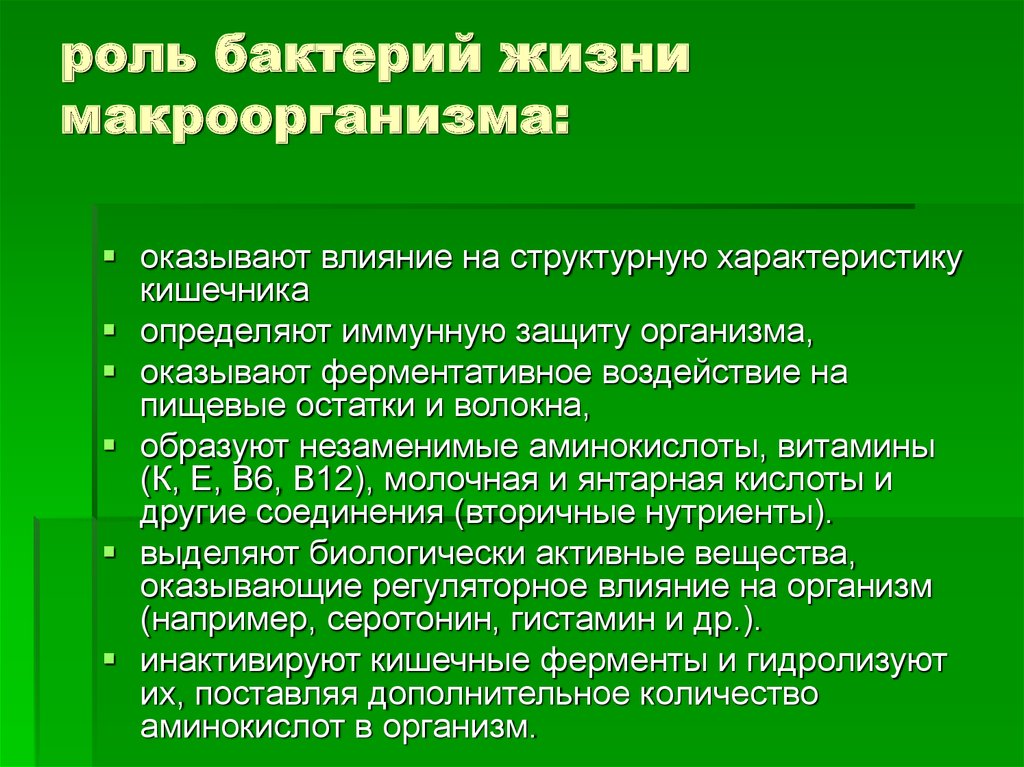 Земля без бактерий. Роль бактерий в кишечнике. Роль бактерий в жизни животных. Функции бактерий. Роль макроорганизма.