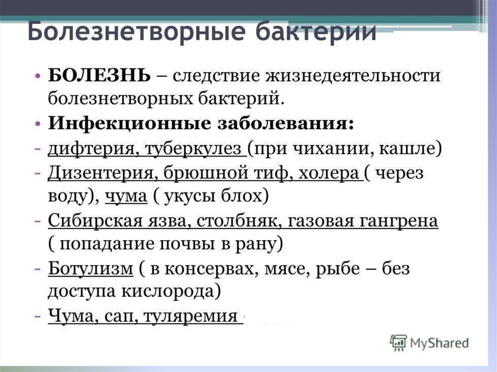 Болезнетворные бактерии презентация