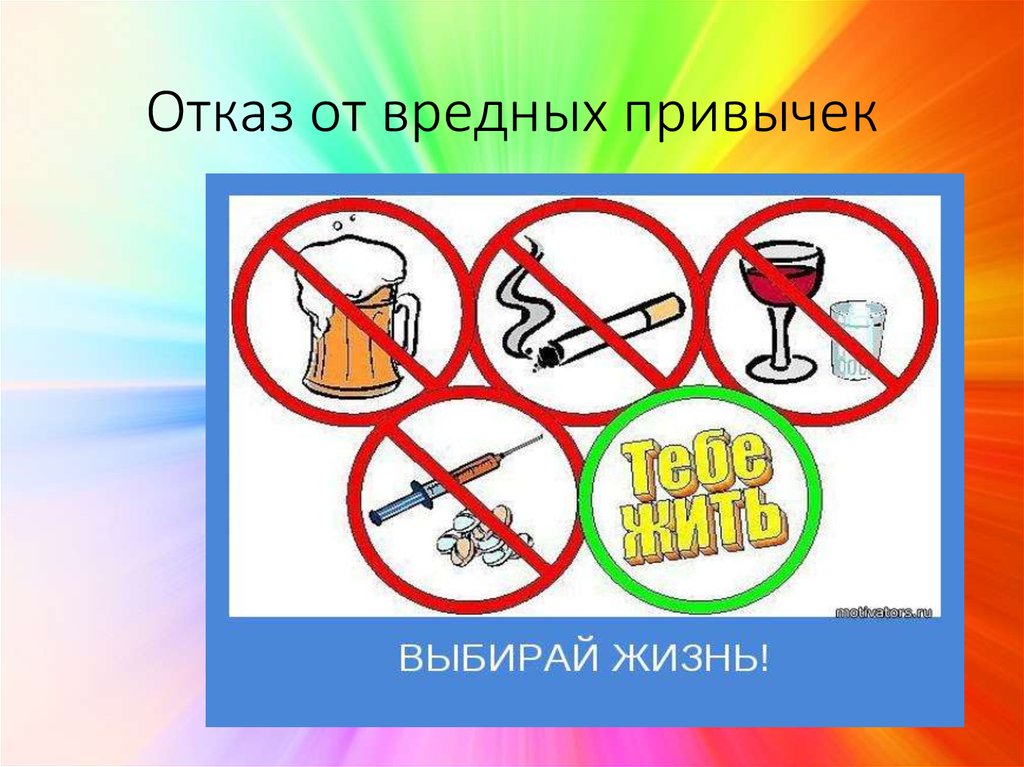 Вредные привычки зож проект