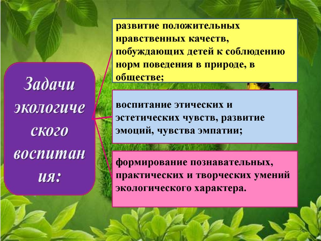 Положительные моральные качества. Нравственно экологическое воспитание дошкольников. Актуальность экологического воспитания дошкольников. Подсистемы экологического воспитания дошкольников. Эстетическое экологическое этическое воспитание.