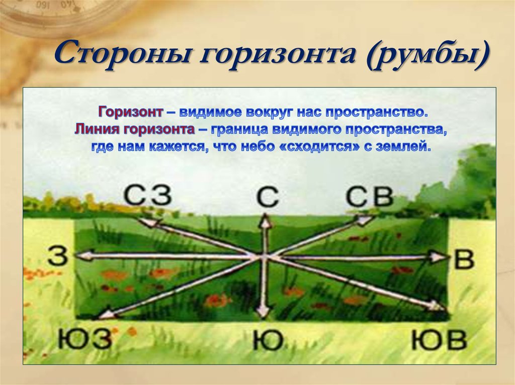 На плане стороны горизонта определяют по а горизонталям б