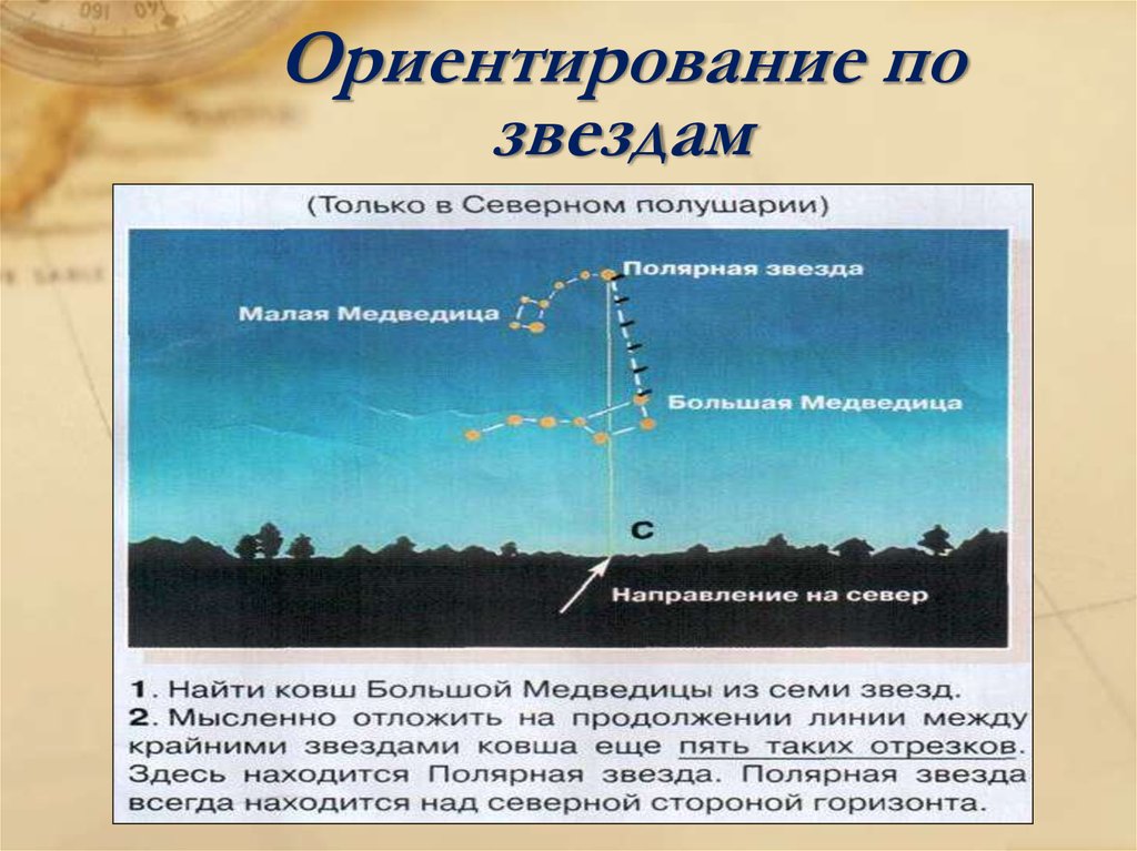 Полярная звезда 8 класс. Ориентирование по звездам. Ориентация на местности по звездам. Способы ориентирования по звездам. Ориентирован на местности по звездам.