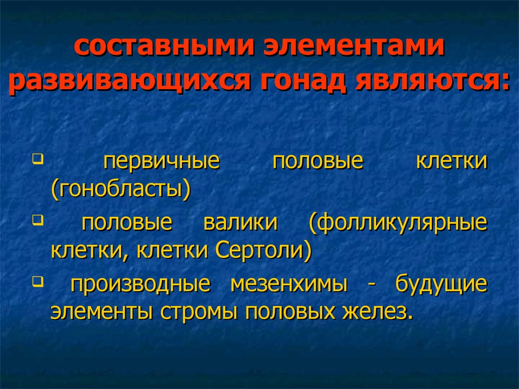 Первичный полом. Гонобласты возникают в. 3. Гонобласт и его дифференциация..