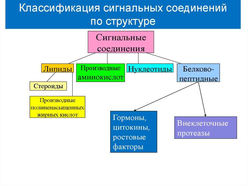 Систем реферат