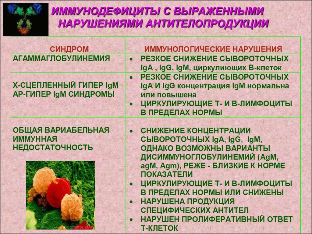 Иммунодефициты у детей презентация