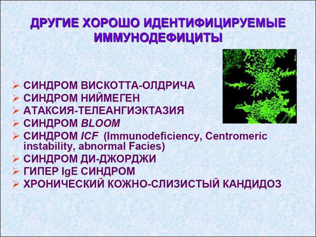 Иммунодефициты у детей презентация