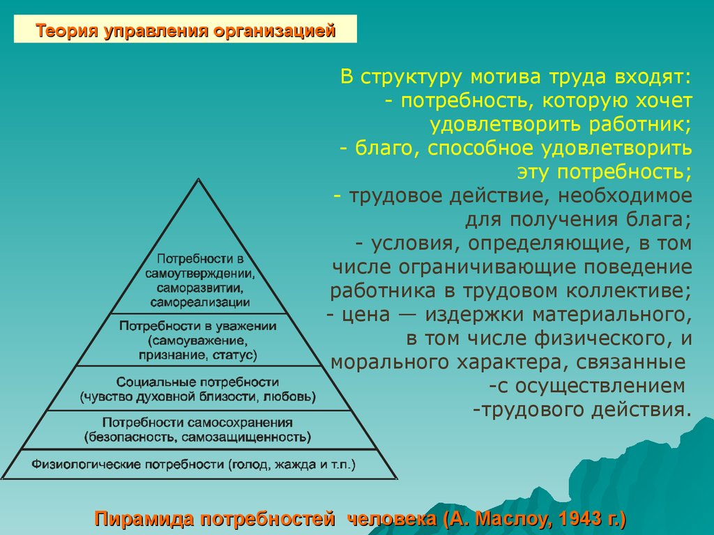 Мотивация в управленческой деятельности. Теория потребностей в менеджменте. Теория управления пирамида. Теории управления организацией. Пирамида менеджмента в организации.