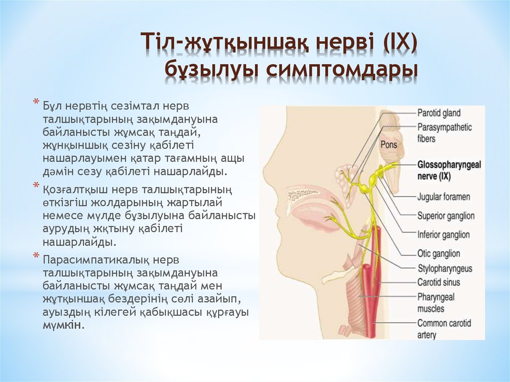 Тіл-жұтқыншақ нерві (IX) бұзылуы симптомдары