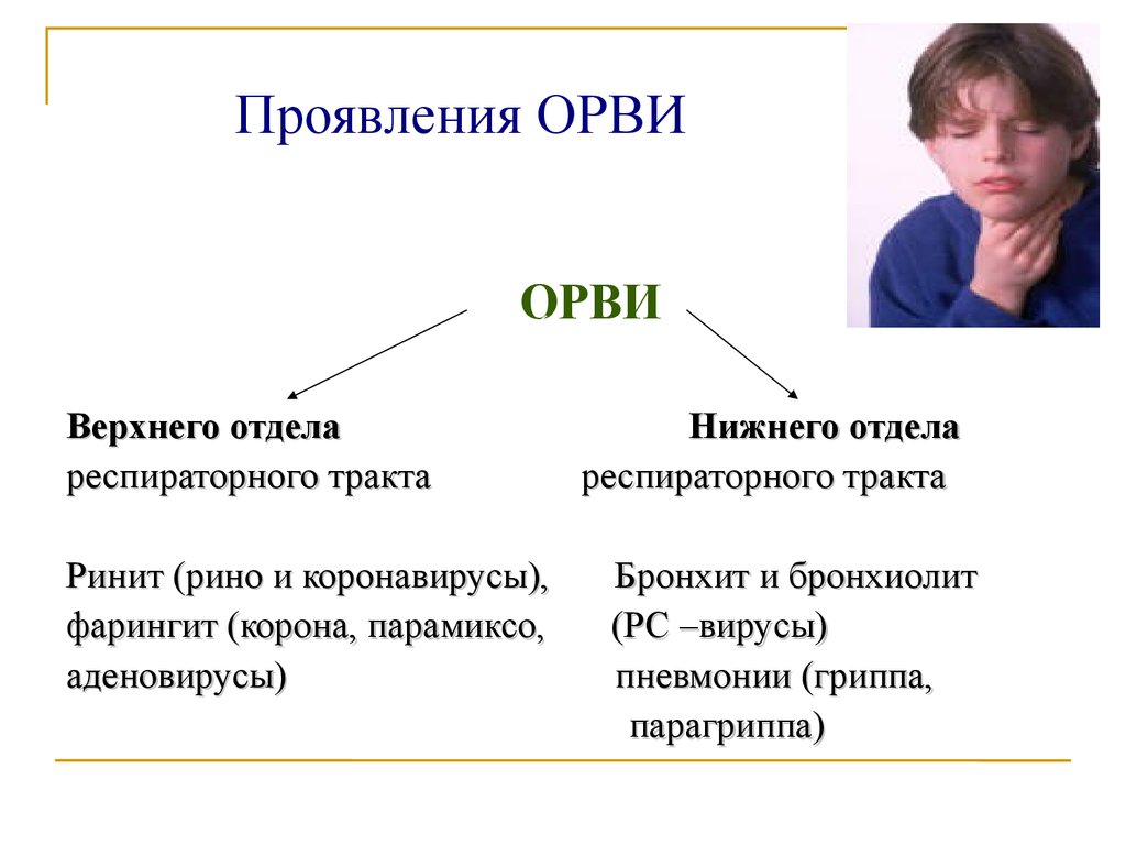 Проявления вирусной инфекции. ОРВИ симптомы. Острое респираторное заболевание симптомы. Проявление ОРВИ. Респираторные инфекции симптомы.