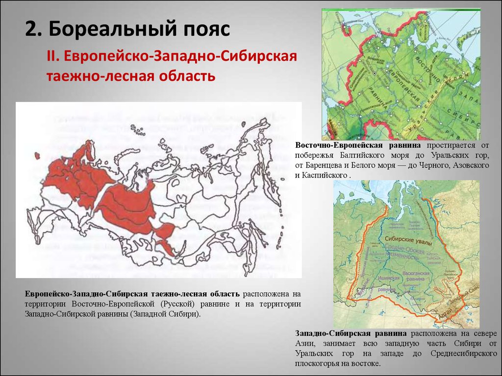 Западная сибирь пояса. Европейско-Западно-Сибирская таежно-Лесная область. Почвенные пояса России бореальный суббореальный. Бореальный почвенно биоклиматический пояс. Европейско-Сибирская область.