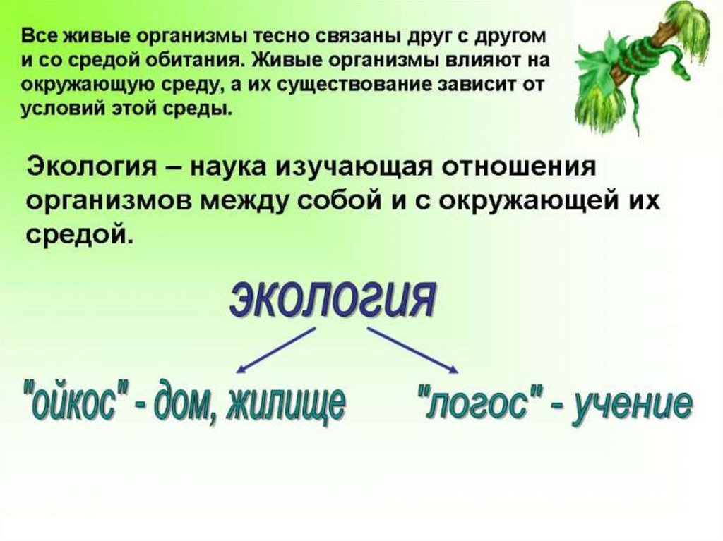 Презентация биология наука о живой природе 6 класс