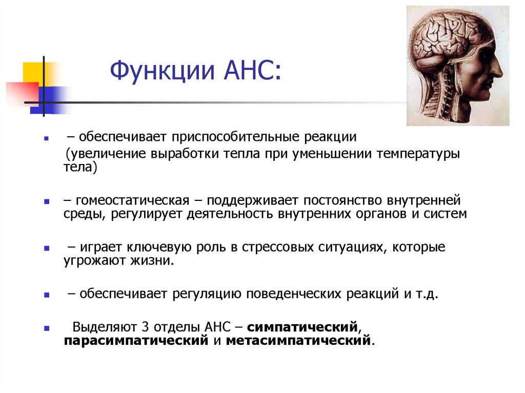 Функции АНС: