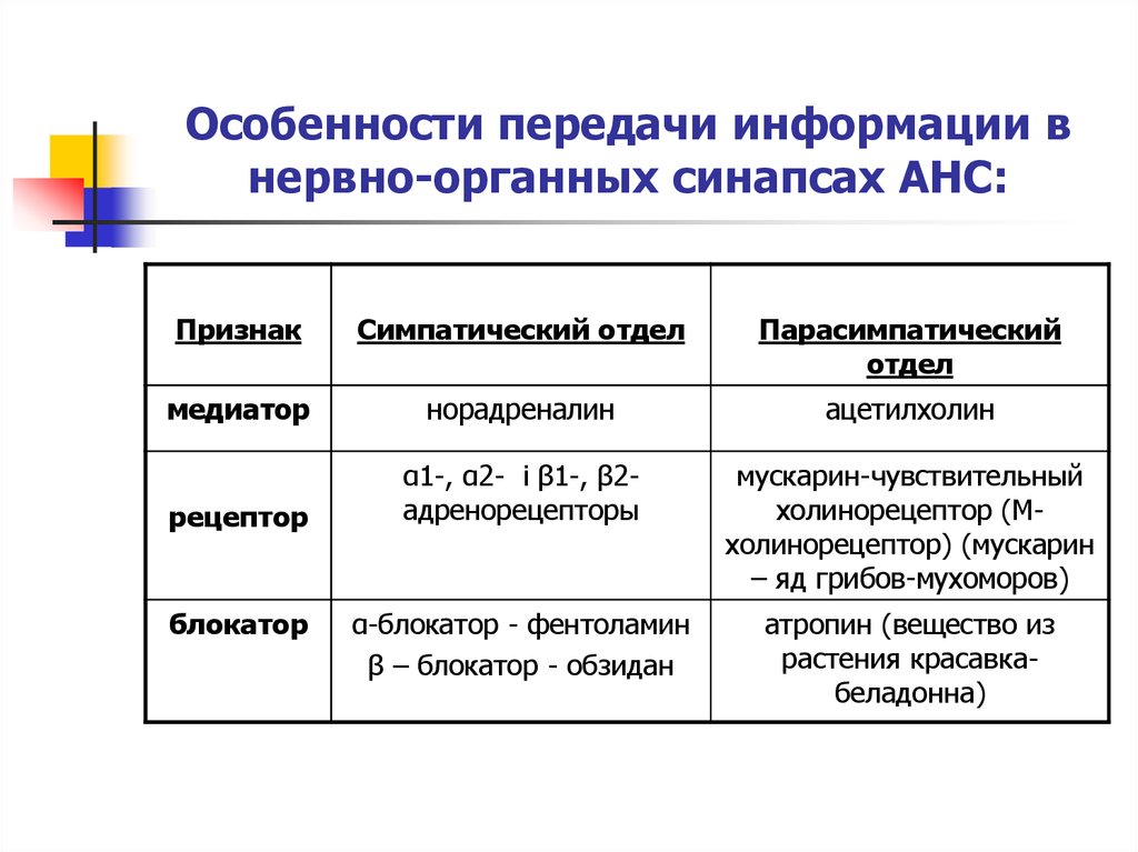 Характеристика передач. Особенности передачи информации. Медиатор нервная регуляция. Особенности передачи информации в нервных центрах. Симпатический отдел анс медиаторы, рецепторы, функции.