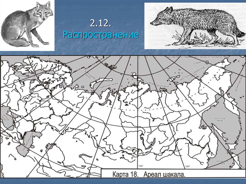 Ареал на карте