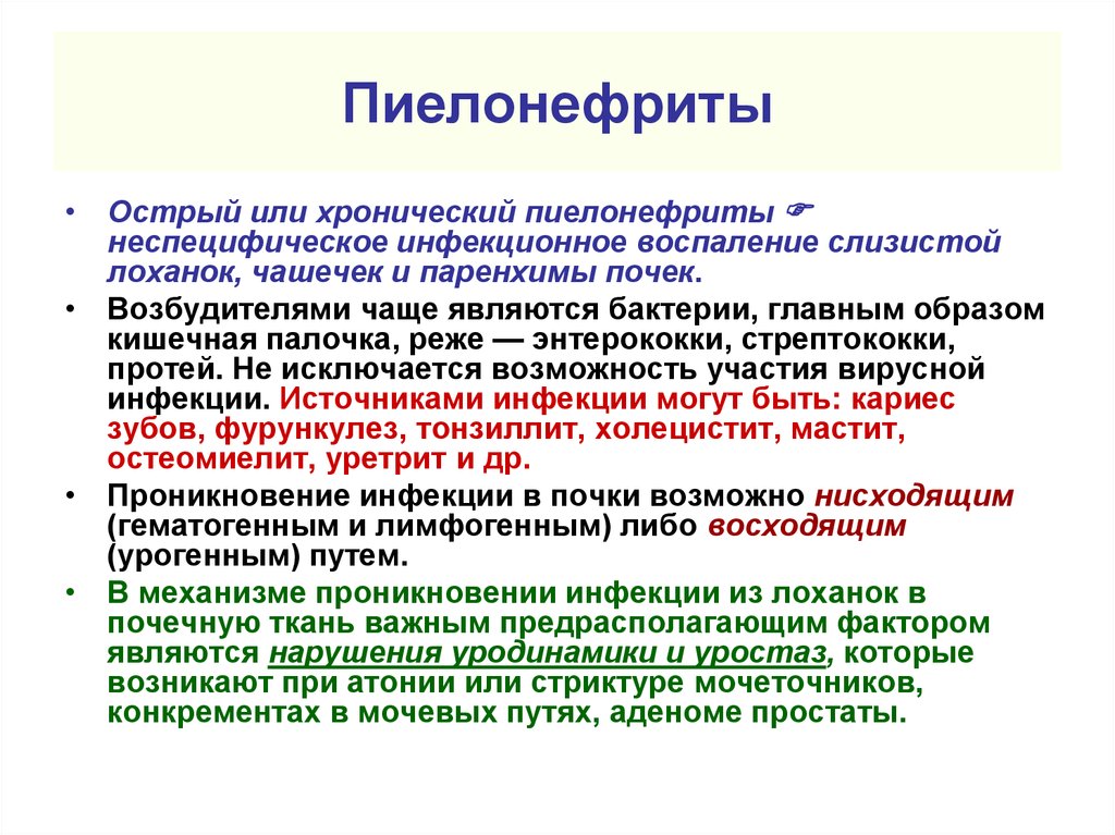 Пиелонефрит презентация патофизиология