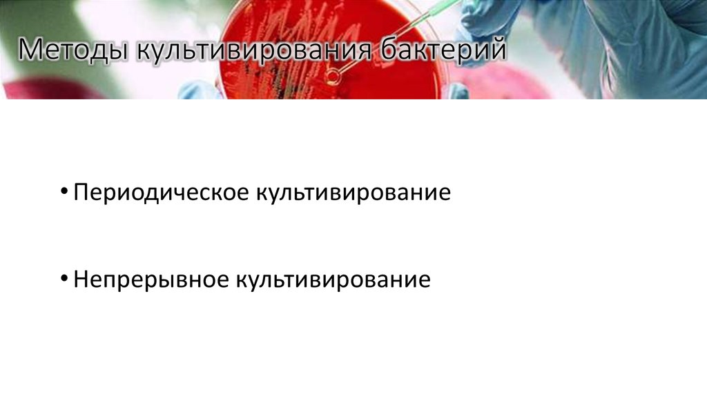 Методы культивирования бактерий
