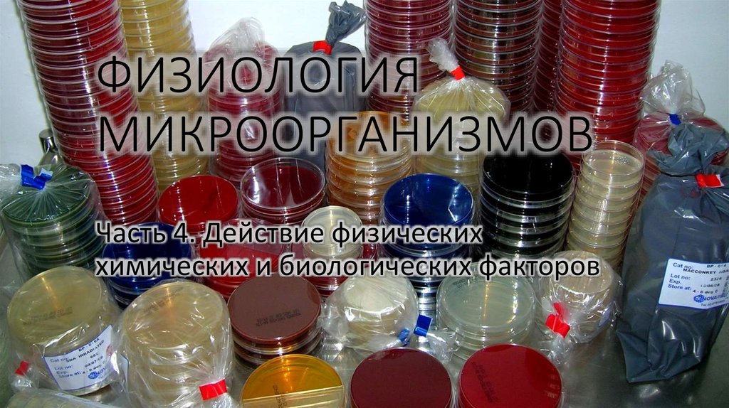 ФИЗИОЛОГИЯ МИКРООРГАНИЗМОВ
