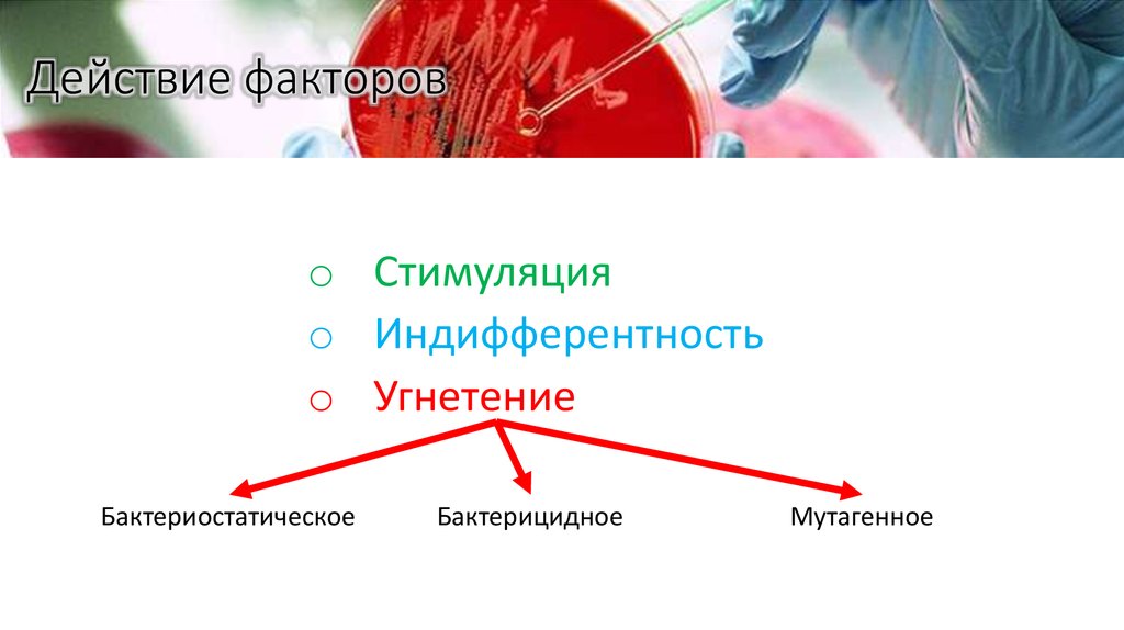 Действие факторов