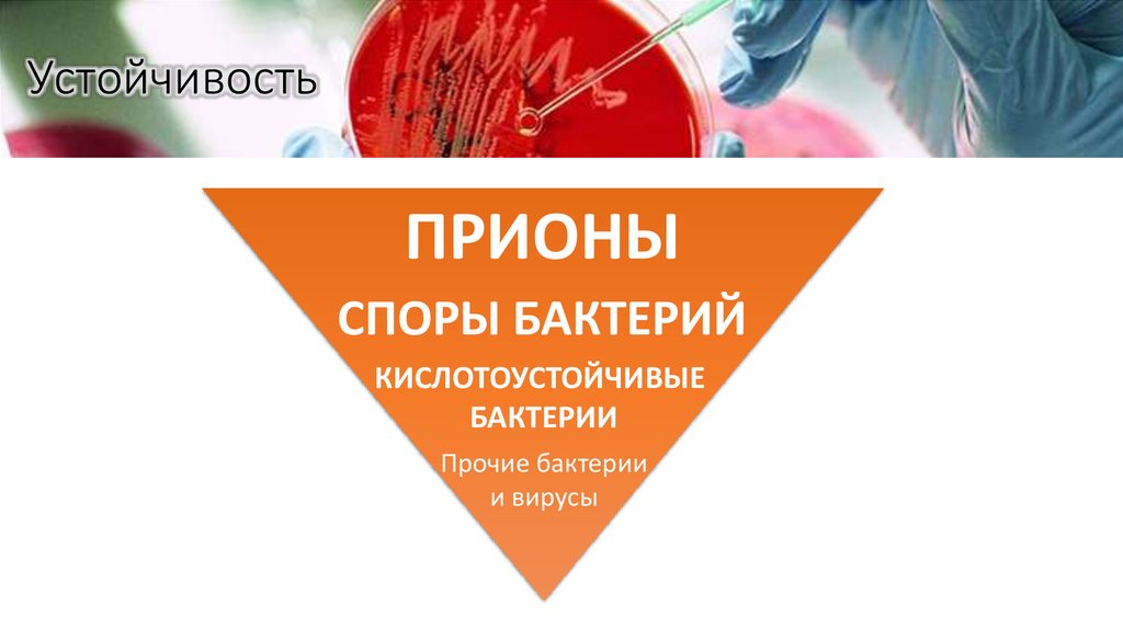 Устойчивость