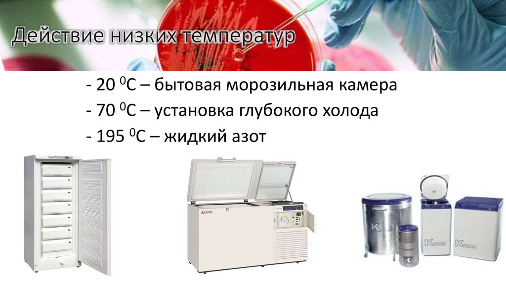 Действие низких температур
