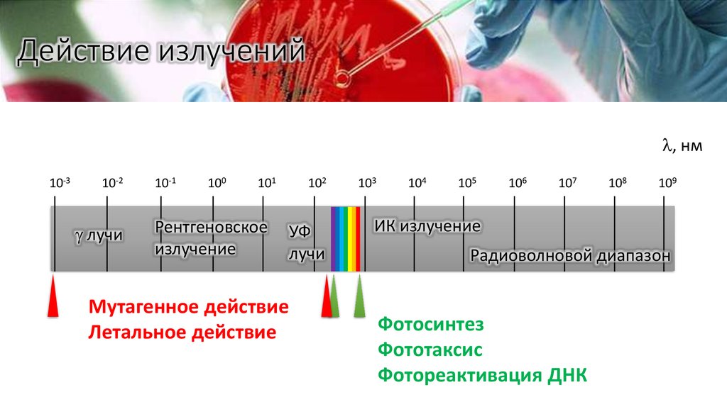 Действие излучений