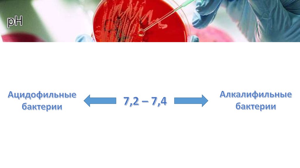 рН