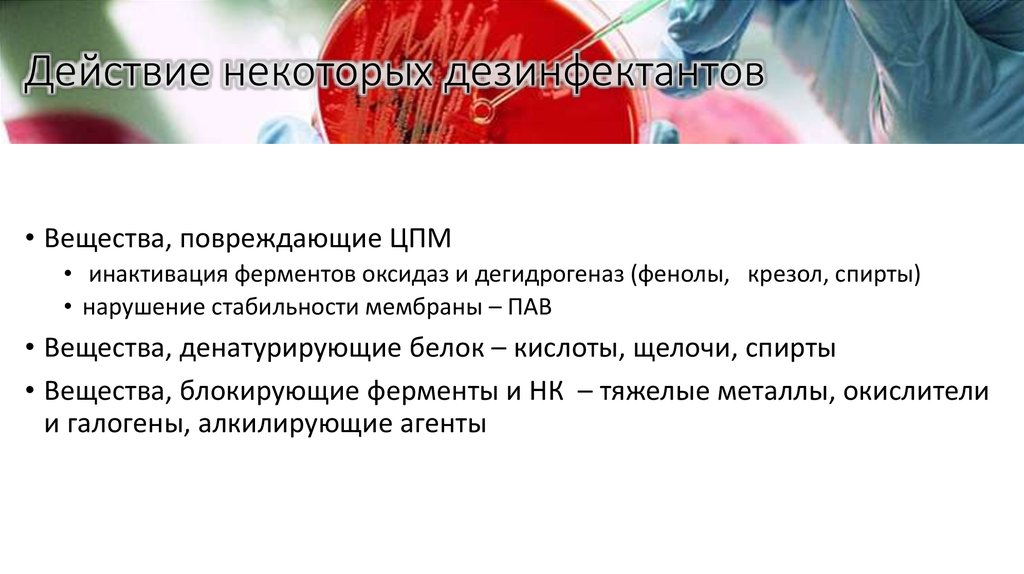 Действие некоторых дезинфектантов