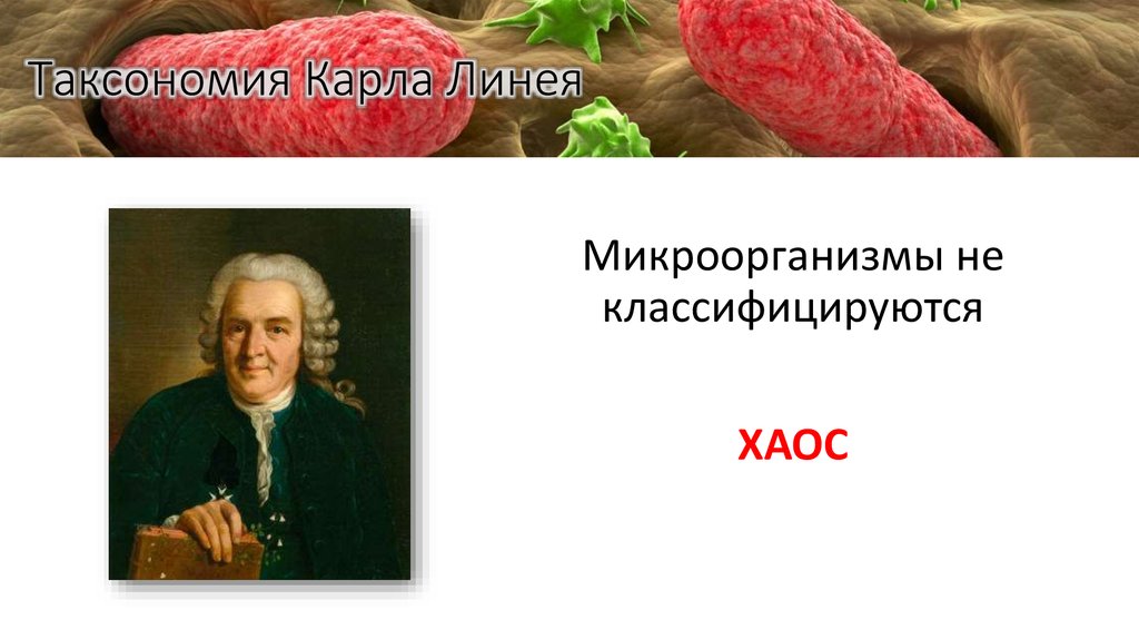 Таксономия Карла Линея