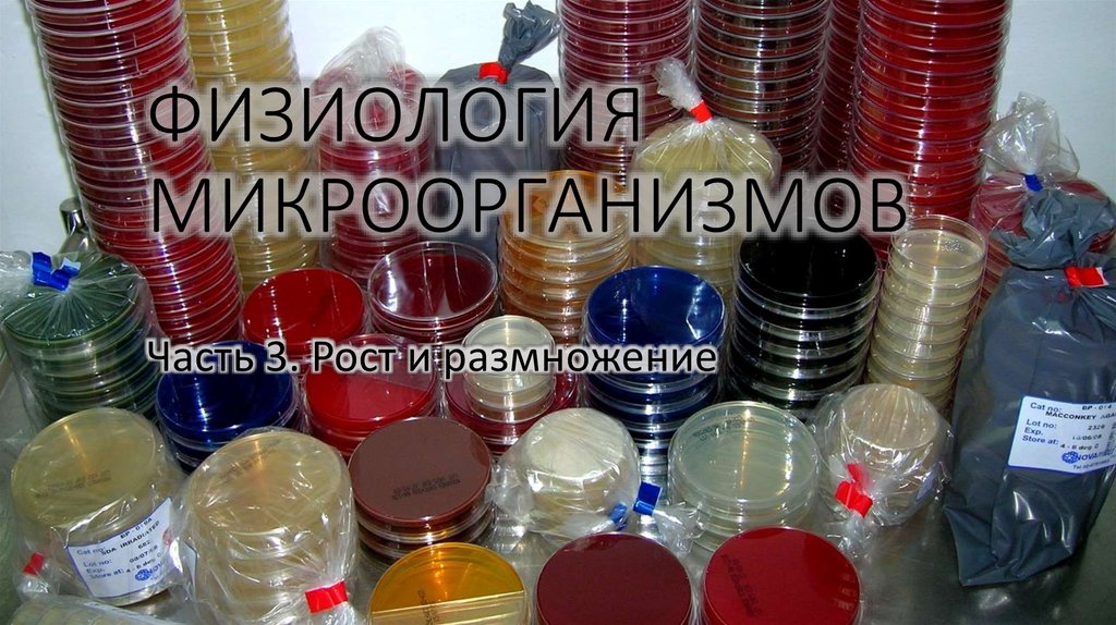 ФИЗИОЛОГИЯ МИКРООРГАНИЗМОВ