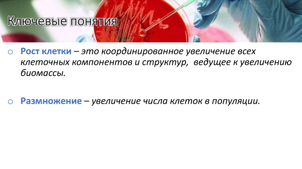 Ключевые понятия