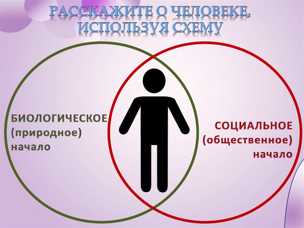 Проект по обществознанию загадка человека 6 класс