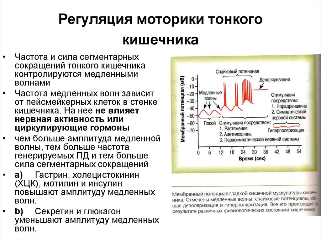 Медленная амплитуда