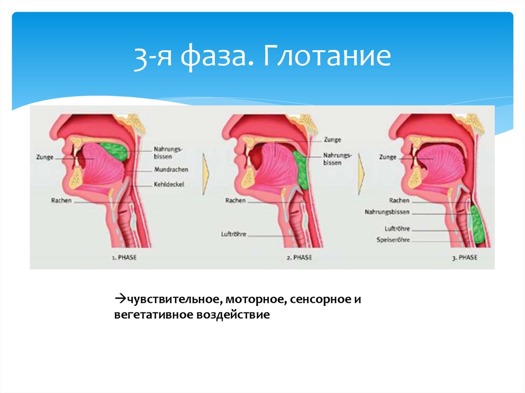 Инфантильное глотание это